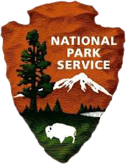 NPS_Logo-removebg-preview